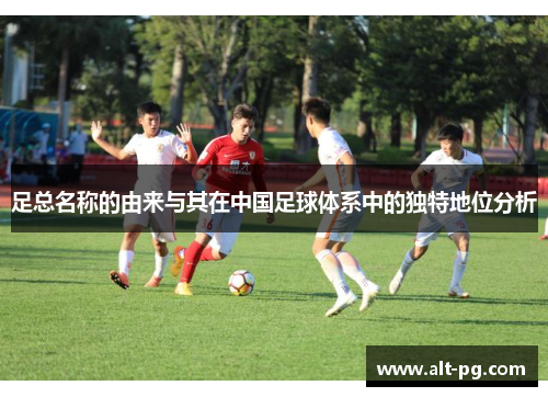 足总名称的由来与其在中国足球体系中的独特地位分析