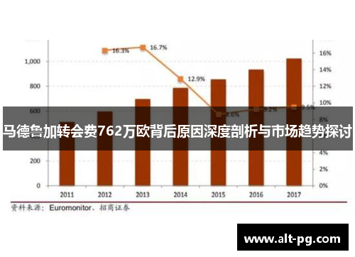 马德鲁加转会费762万欧背后原因深度剖析与市场趋势探讨
