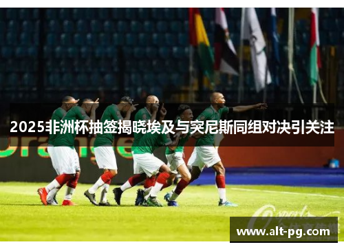 2025非洲杯抽签揭晓埃及与突尼斯同组对决引关注